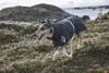 Hurtta Extrem Warmer, Hund, Jacke, Grau, Winter, 500 mm, 54 Produktbild-Vorschau 16