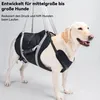 Hundetragehilfe XL für große Hunde, Reha-Geschirr mit Produktbild-Vorschau 4