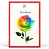 MG Design Bilderrahmen 30 x 45 cm - Posterrahmen mit Rot Produktbild-Vorschau 1