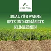 LERAVA CHAMPION 300m² - Rasensamen dürreresistent - Produktbild-Vorschau 3