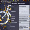 Goetze Mood 24 Zoll Mädchenfahrrad, 6-Gang, V-Bremse, LED, Produktbild-Vorschau 7