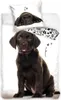 PHU CARBOTEX Baumwollbettwäsche 140x200 Labrador Schwarz Produktbild-Vorschau 2