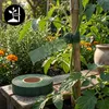 Nastro Per Giardinaggio, Ideale Per Legare Alberi E Piante, Anteprima dell’immagine prodotto 2