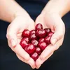 Odkôstkovač čerešní - BIOWIN Náhľad obrázku produktu 5
