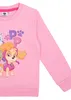 Paw Patrol mikina pro dívky - dětský svetr top růžový Náhled obrázku produktu 5