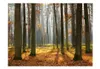 Basera Fototapete Waldmotiv 100403-147, Vliestapete, Produktbild-Vorschau 2