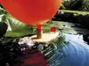 EDUPLAY 800-171 Knatterboot aus Holz, natur Produktbild-Vorschau 4