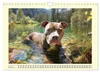 Pit Bull Terrier. Zwischen Wildblumen und Großstadtglanz Produktbild-Vorschau 9