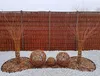 Ogrodzenia Wiklinowe Kula Wiklinowa 50 cm, Kule Ogrodowe, Podgląd zdjęcia produktu 2