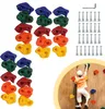 Jopassy 40X Prises d'escalade Pierres de bloc Enfants Voir les images du produit 1