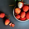 Ponthier LITSCHI PÜREE Lychee-Frucht-Püree 1KG Produktbild-Vorschau 4