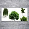 Glasbilder 120x60 Wandbild Druck auf Glas Bäume Natur Produktbild-Vorschau 2