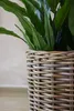 VIVANNO Kaminholzkorb Rattan ARRIBA Rund, Natur geflochten Produktbild-Vorschau 3
