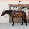 Aksamitna podkładka pod siodło Kentucky Horsewear Podgląd zdjęcia produktu 20
