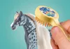 Horses of Waterfall - Grajd cu Amelia si calutul Whisper Náhled obrázku produktu 14