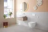 Geberit AquaClean Alba WC-Kompletta­nlage Wand-WC, weiß, Produktbild-Vorschau 11
