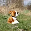 Peluche chien boxer 27 cm ECO-FRIENDLY Voir les images du produit 4