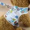 Geschirr + Leine für kleinen Hund Katze Katze XL 36-44cm im Produktbild-Vorschau 2