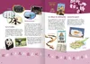Das große Flaggen-Stickerbuch Produktbild-Vorschau 5