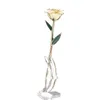 24K Goldrose mit Ständer, handgepflückte Echtrose, 28-30cm, Produktbild-Vorschau 7