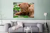 MuchoWow® Poster Schottischer Highlander - Heu - Gras Produktbild-Vorschau 5