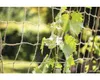 Síť na popínavé rostliny jutová FloraSelf Nature 180 x 250 Náhled obrázku produktu 3