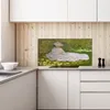 Coloray Küchenrückwand 140x70 Spritzschutz aus Glas - Produktbild-Vorschau 3