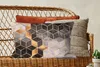 MuchoWow® Zierkissen Sofakissen Wohnzimmer Dekokissen 60x40 Produktbild-Vorschau 5