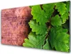 Acrylglasbilder 100x50 Wandbild Druck Eiche Blätter Produktbild-Vorschau 1