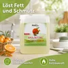 ALMAWIN Spülmittel Sanddorn Mandarine 5 Liter Produktbild-Vorschau 2