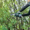 Makita Akku-Astsäge, Kettensäge UC029GZ XGT, 40Volt, (ohne Produktbild-Vorschau 20