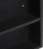 A close-up view of a black shelf unit, showing two shelves and a small hole in the back panel. Náhled obrázku produktu