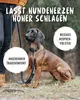 A person holding a dog leash with a dog sitting next to them in an outdoor setting. Produktbild-Vorschau