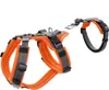 HUNTER Sicherheitsgeschirr mit Griff Maldon Orange/Grau M Produktbild-Vorschau 6