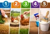 Ecodeco, křemelitá zemina (diatomit), 10 kg. Vhodná pro Náhled obrázku produktu 5
