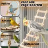 Ensemble de jouets pour oiseaux, 10 pièces : perchoir, Voir les images du produit 5