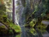 CALVENDO Puzzle Kirnitzschtal im Elbsandsteingebirge | 1000 Produktbild-Vorschau 3