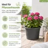 Pflanztopf Fiona Anthrazit Ø 20cm - Frostsicher & Produktbild-Vorschau 8