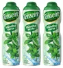 Teisseire Sirup Grüne Minze 600ml für Cocktails (3er Pack) Produktbild-Vorschau 1