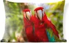 MuchoWow® Outdoor Kissen - Papageien - Vögel - Dschungel - Produktbild-Vorschau 1