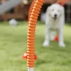 PawHut Agility Set Hunde 4-teiliges Agility-Ausrüstung für Produktbild-Vorschau 8