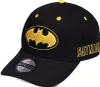 Batman Curved Bill Cap Core Logo Produktbild-Vorschau 9