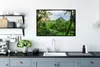 MuchoWow® MuchoWow® Gerahmtes Poster Dschungel - Baum - Produktbild-Vorschau 3