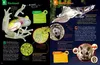 Was ist was: Geniale Tiere ... und ihre Tricks Produktbild-Vorschau 15