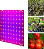81 LED rostou světla pro pokojové rostliny 81 LED červené Náhled obrázku produktu 10