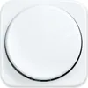 A close-up, front-facing view of a white dimmer switch central plate on a white background. Anteprima dell’immagine prodotto