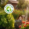 Solabiol Veggie Boost - 250 ml Produktbild-Vorschau 6