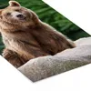 MuchoWow® MuchoWow® Gerahmtes Poster Wald - Bär - Steine Produktbild-Vorschau 7