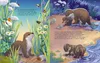 Der kleine Otter - Zu Hause in den Flüssen Europas Produktbild-Vorschau 3