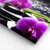 Bild auf Leinwand - Leinwandbild - Orchidee Natur Wasser Produktbild-Vorschau 5